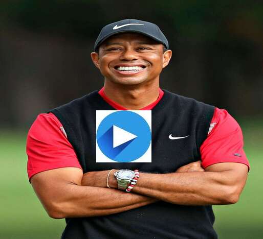 Tiger woods